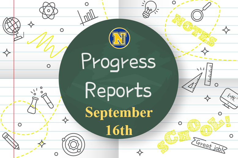 Progress reports