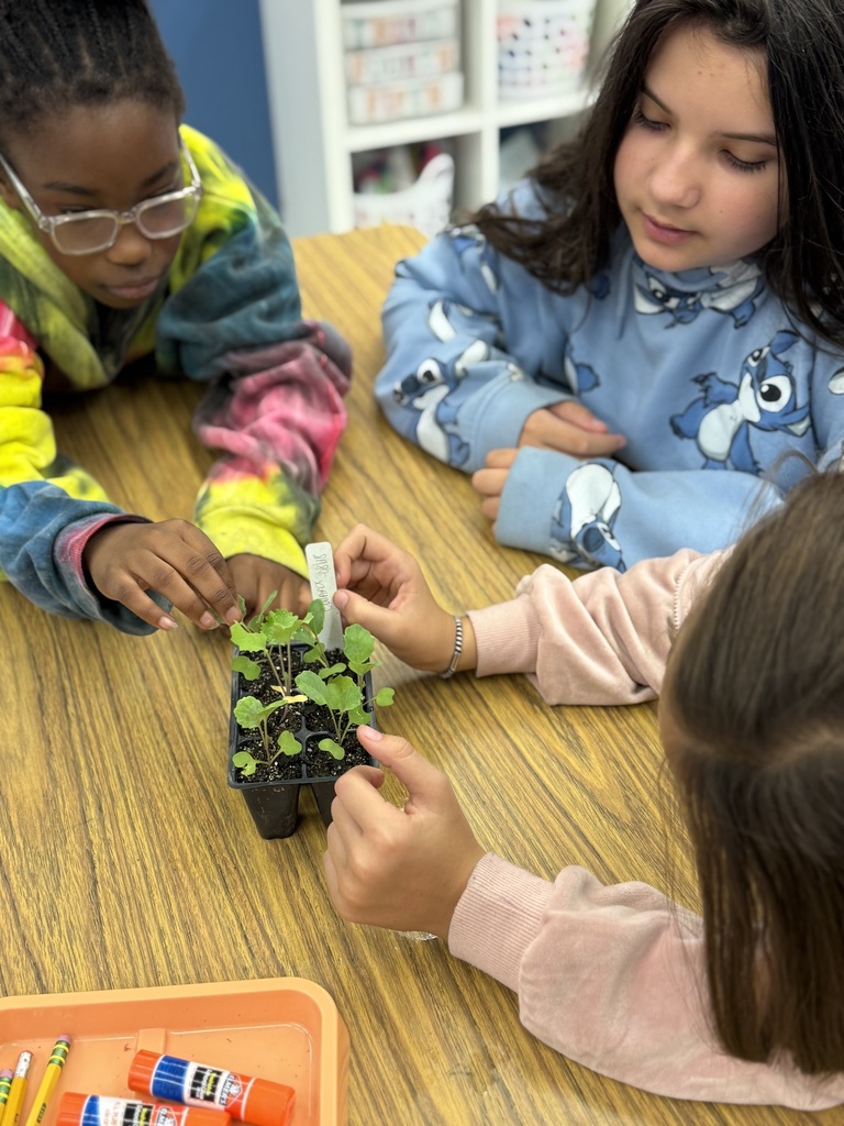 Farm to School Program
