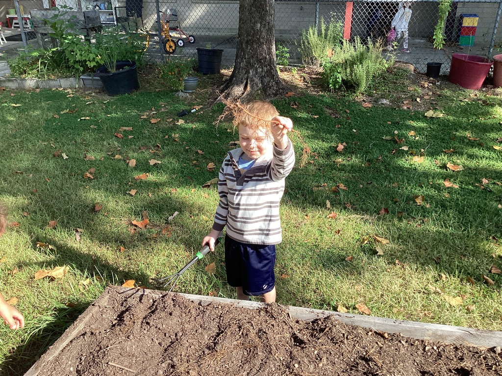 garden pics