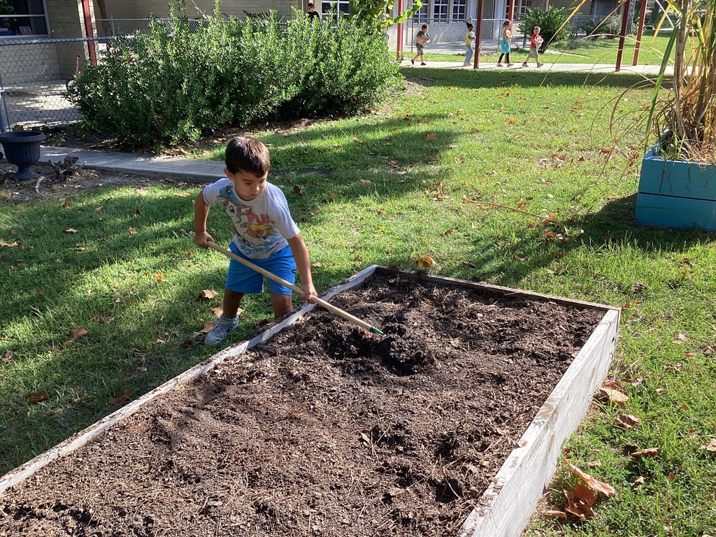 garden pics
