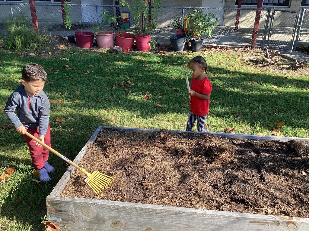 garden pics