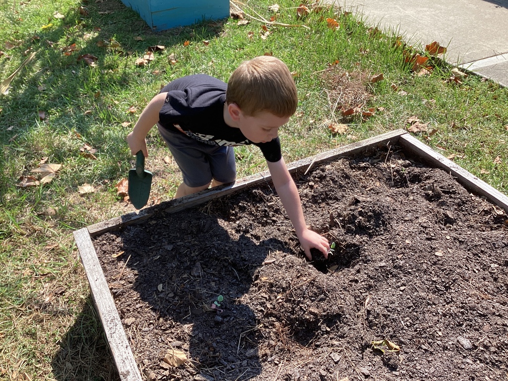 garden pics
