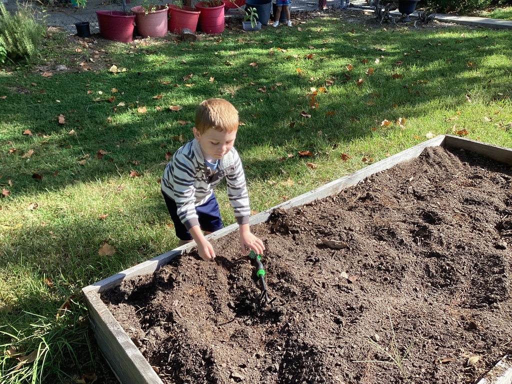 garden pics