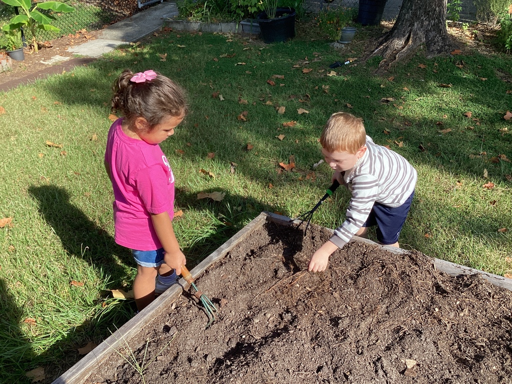 garden pics