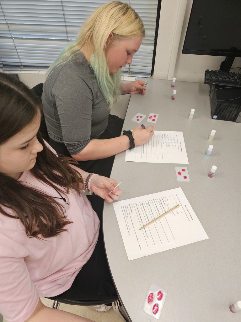 Students working on blood analysis lab