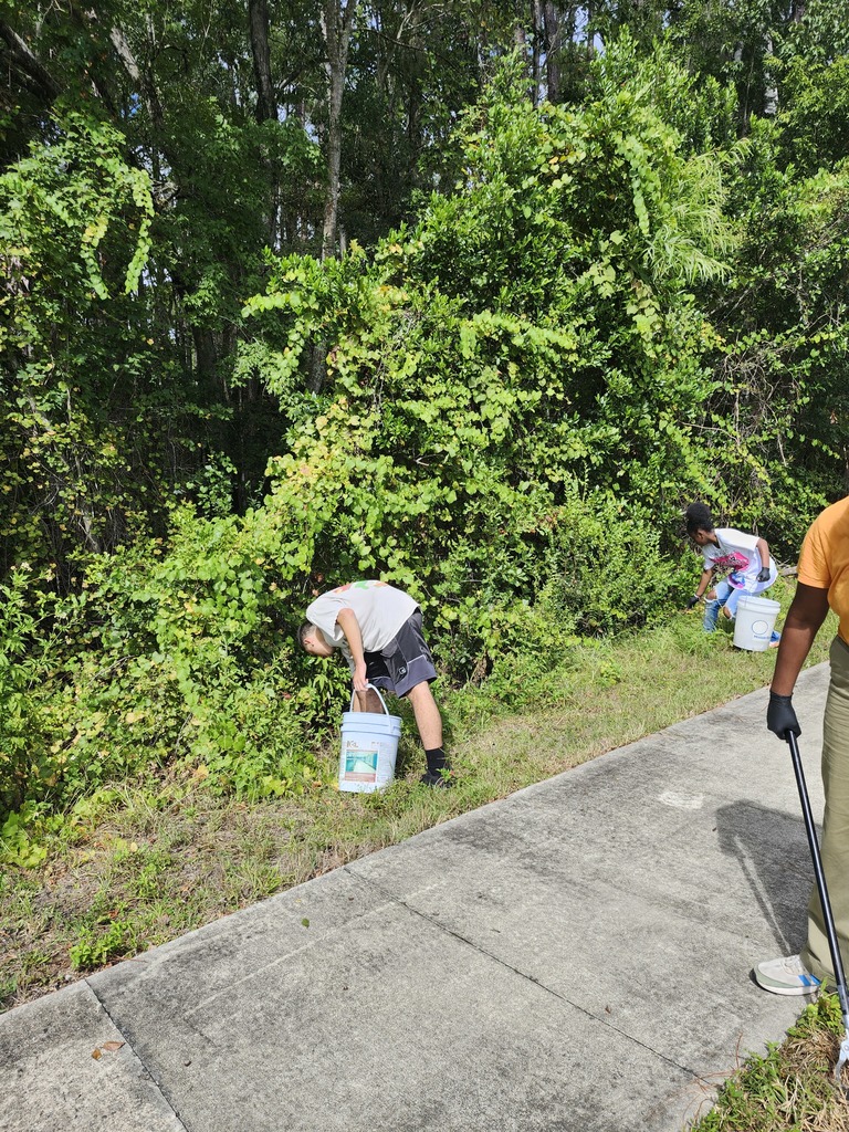 Cleaning the undergrowth