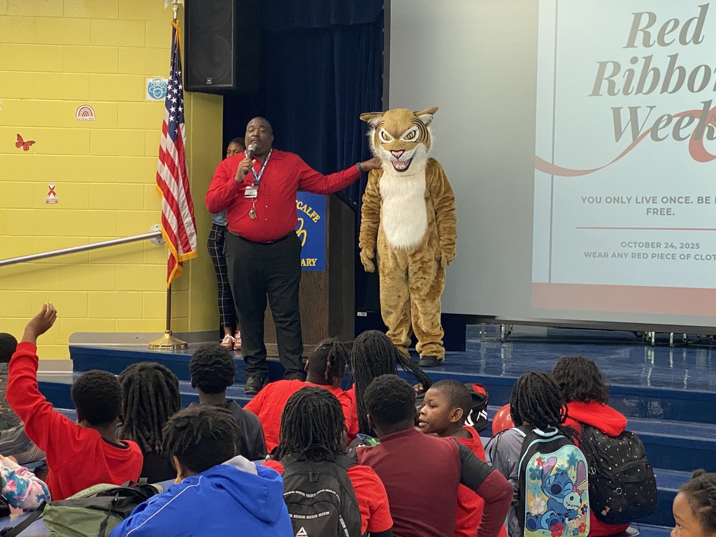 Dr. O and the Wildcat