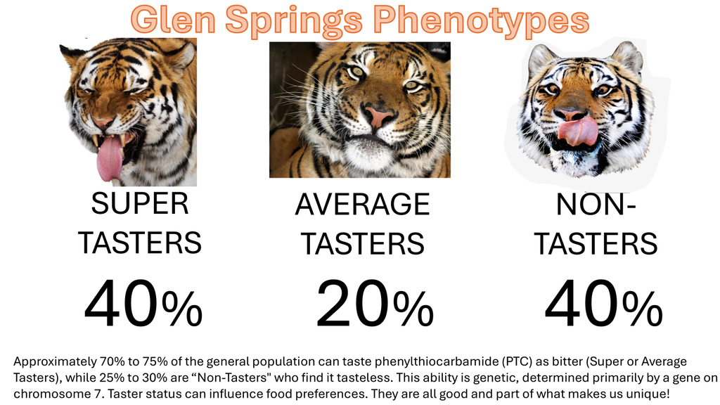 Glen Springs Phenotypes