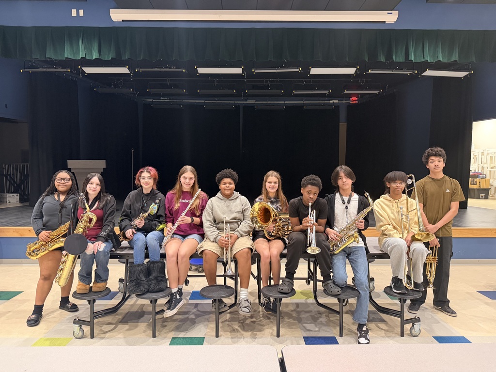 Hard work paid off! ALL Superior ratings at MPA! 🎉🏆 #BandExcellence