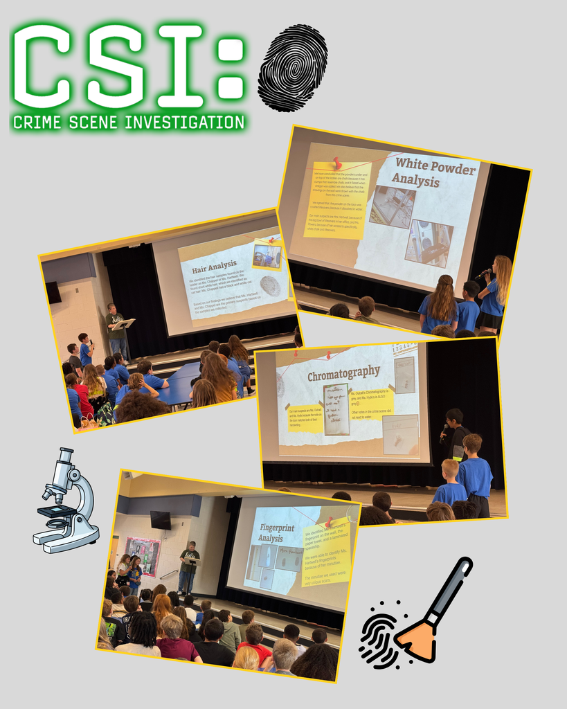 Students presented their findings to each other from their investigations.