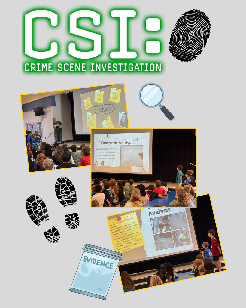 Students presented their findings to each other from their investigations.