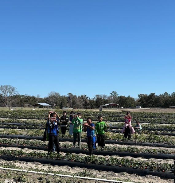 students picking berries