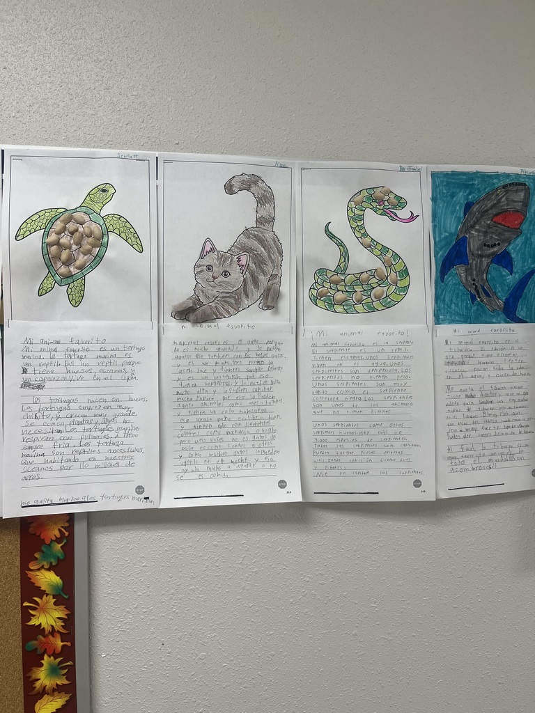student work about animals