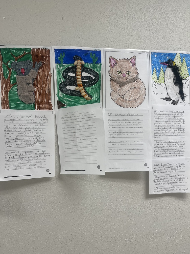 student work about animals