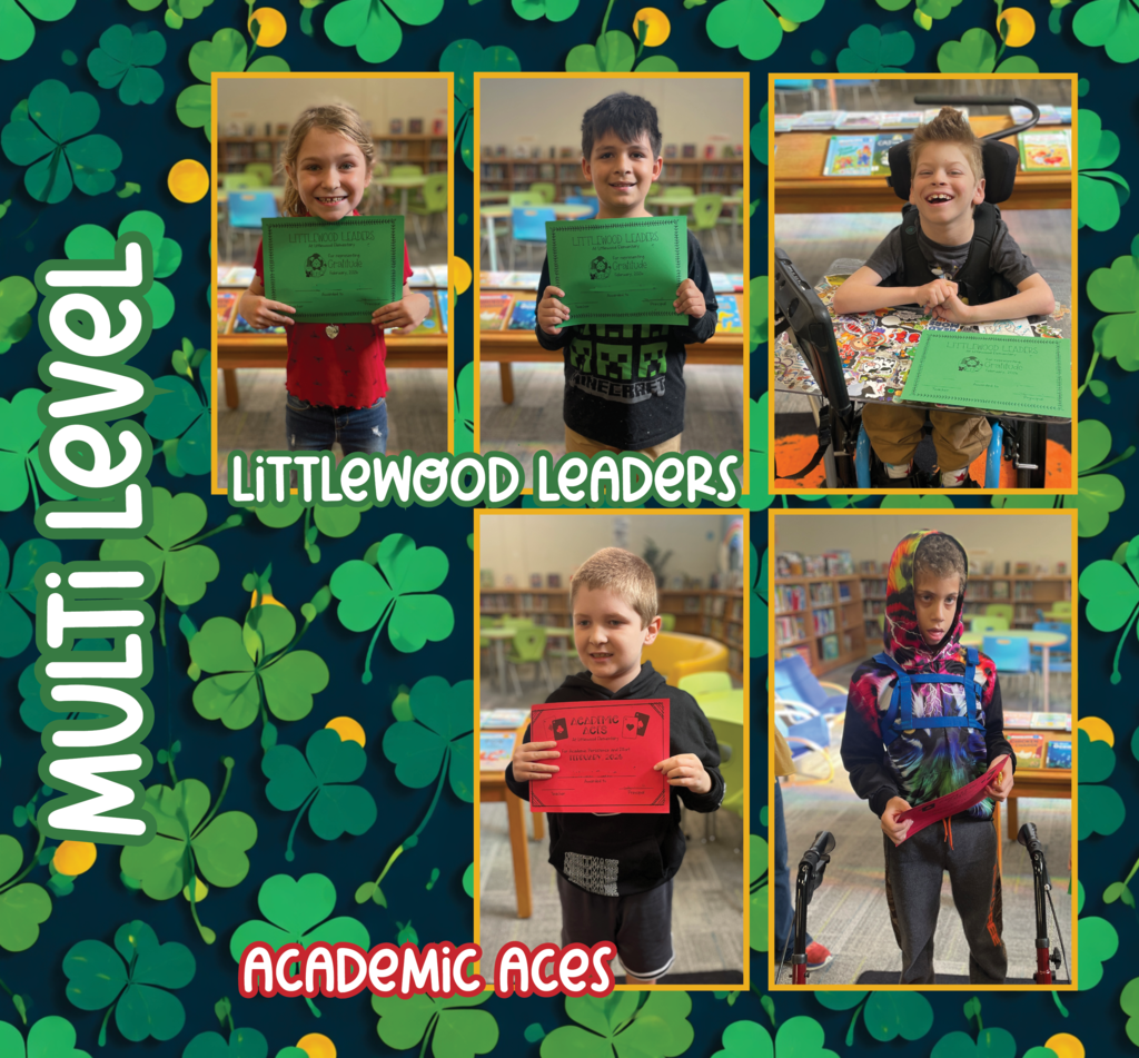 Multi Level Littlewood Leaders and Academic Aces