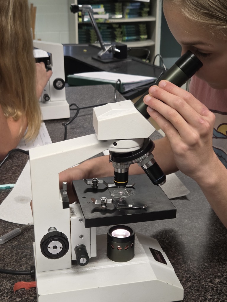 6th graders looking into a microscope