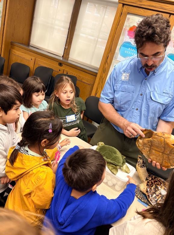 students at a table looking at turtle shells