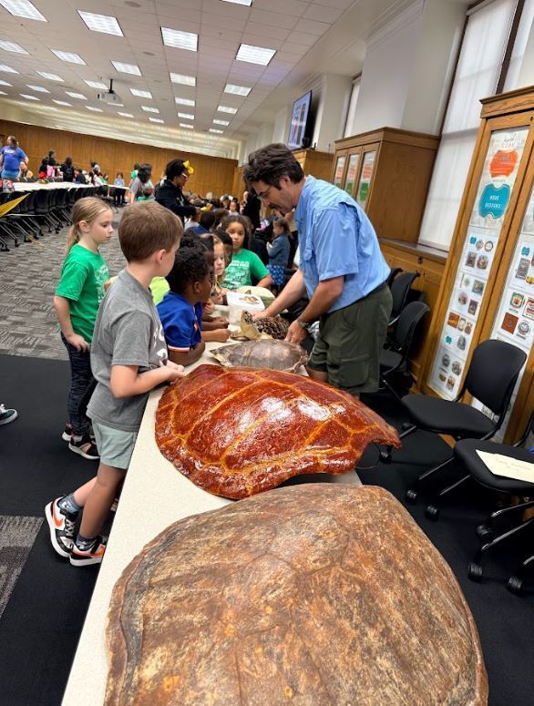 students at a table with turtle shells