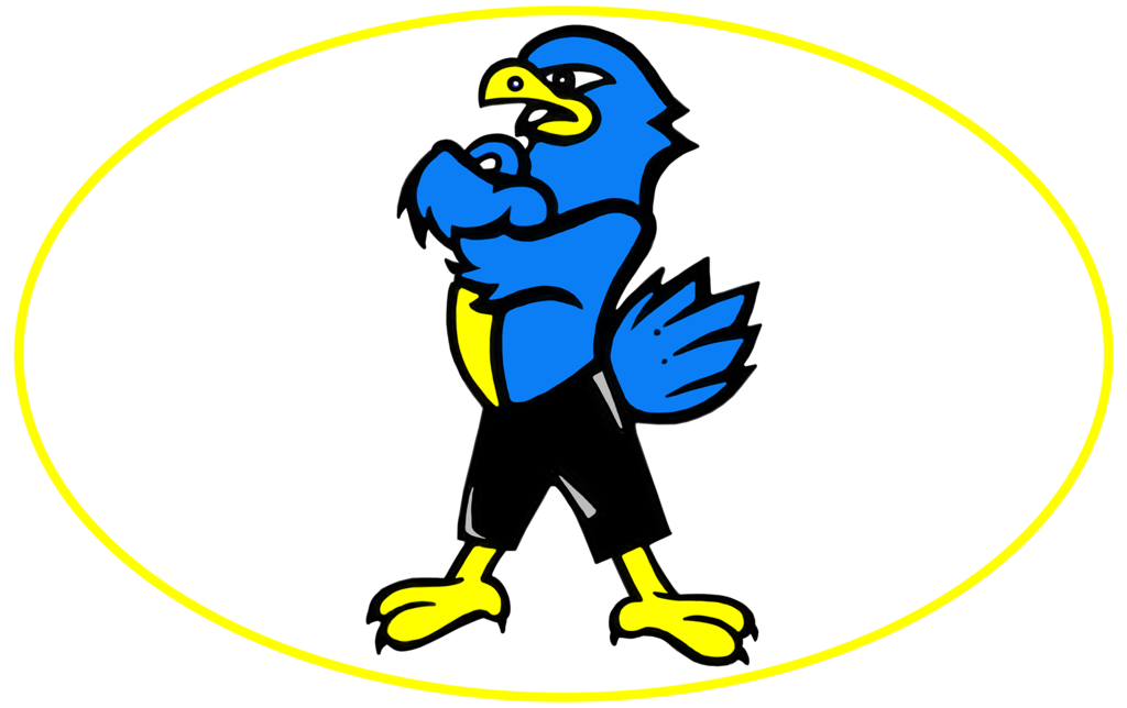LET'S GO HAWKS!!!!