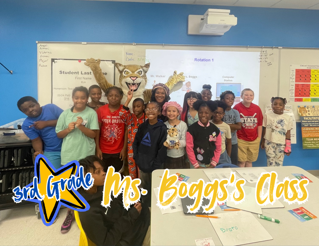 Bogs - 3