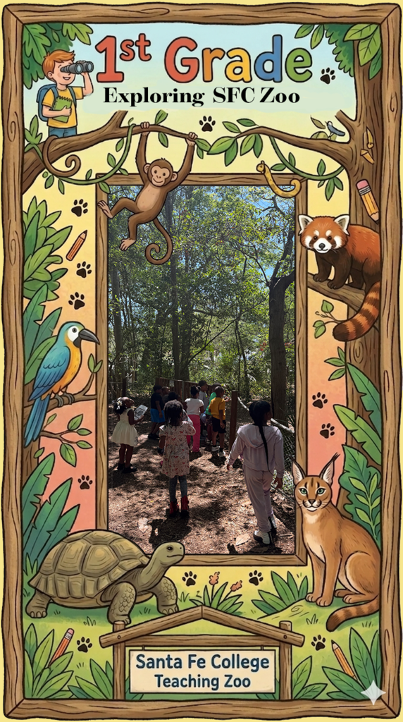 SFC Zoo