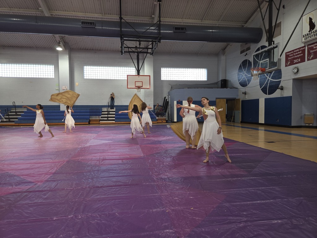 Color Guard performing