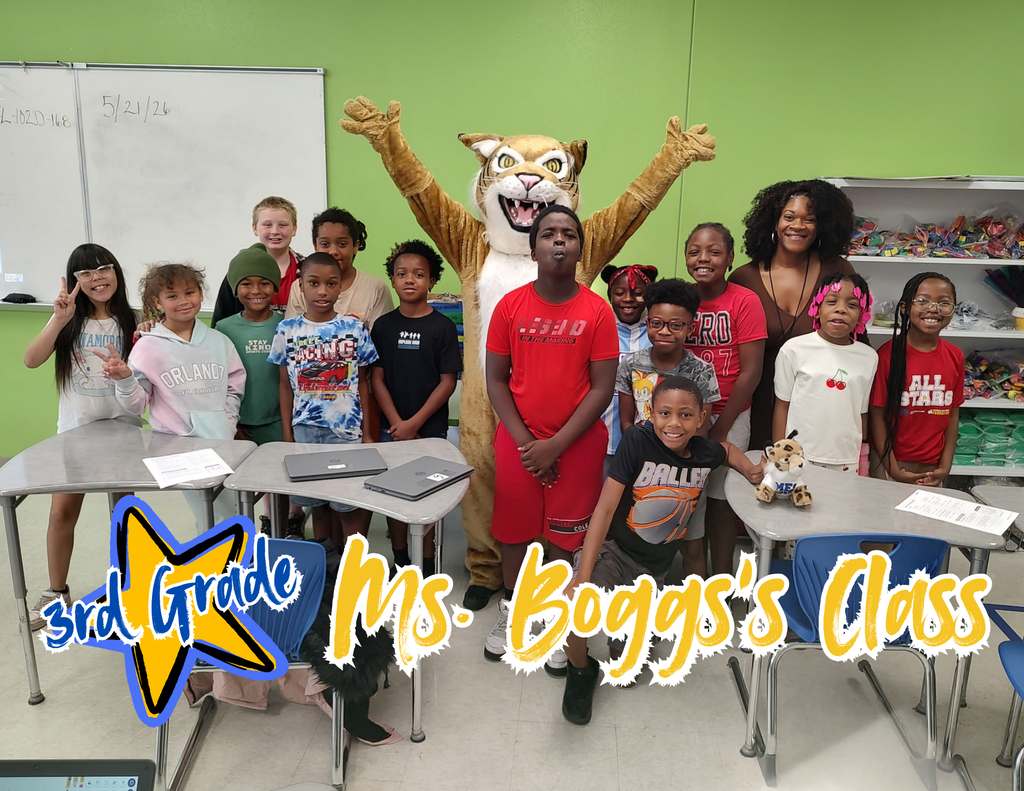 Boggs - 3
