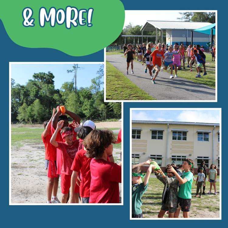 field day