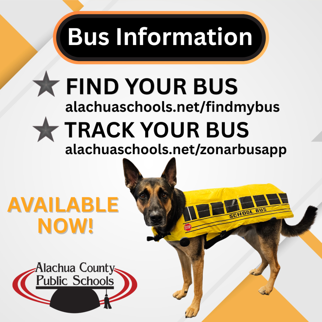 Bus information graphic