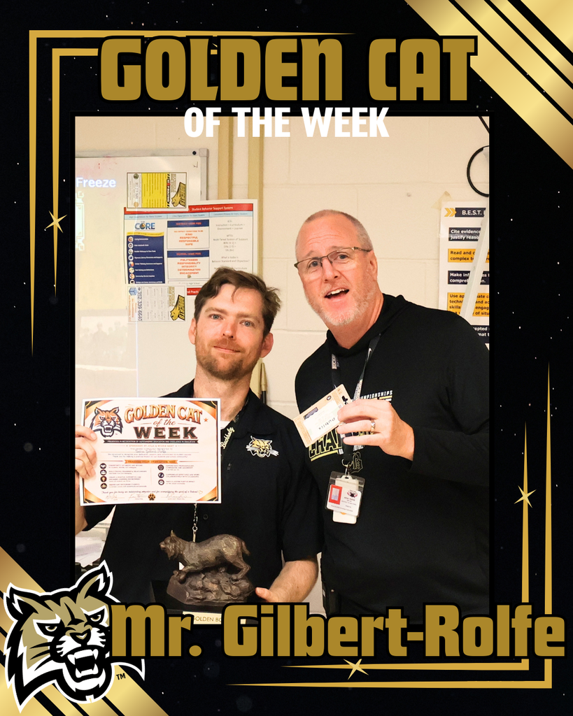 Golden Cat of the Week - Mr. Gilbert-Rolfe