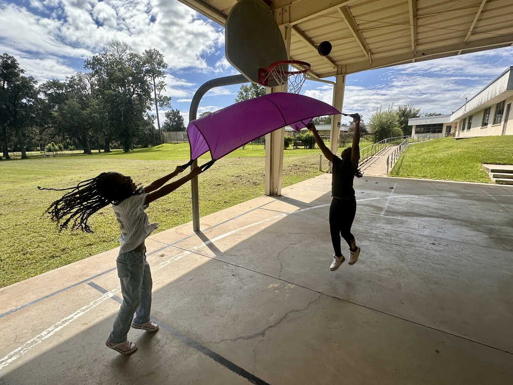 Students working together to catch ball in parachute.