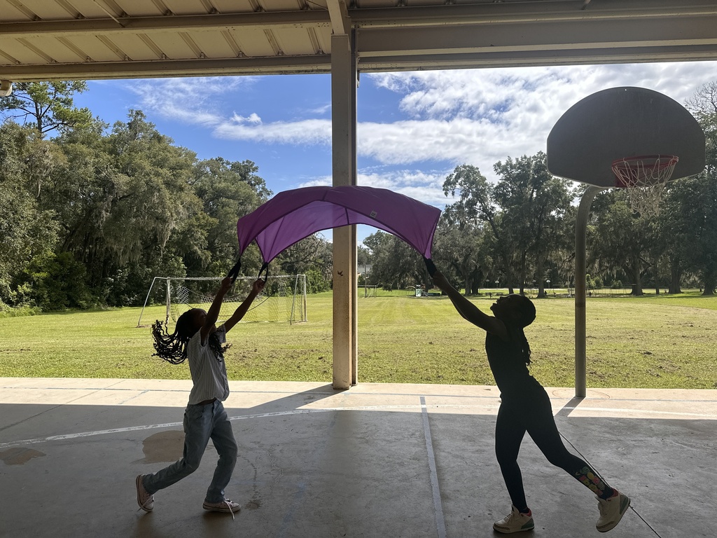 Students working together to catch ball in parachute. 