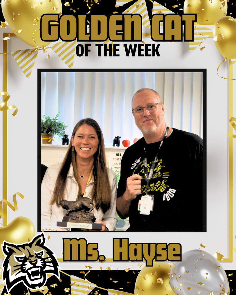Ms. Hayse is our Golden Cat of the week!