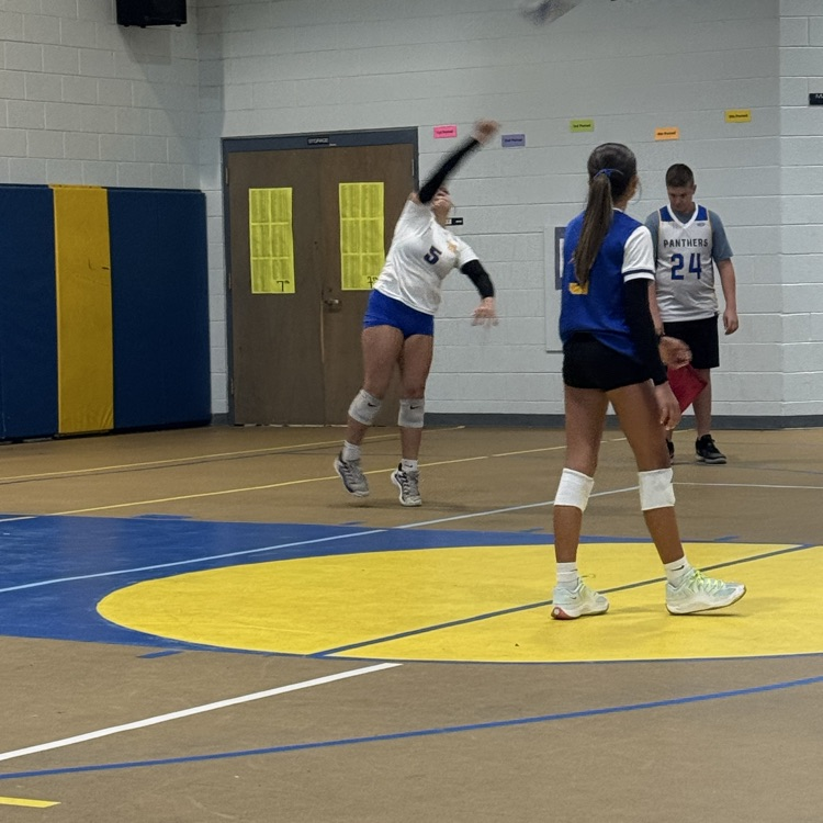 volleyball 