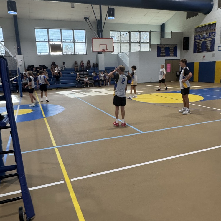 volleyball 