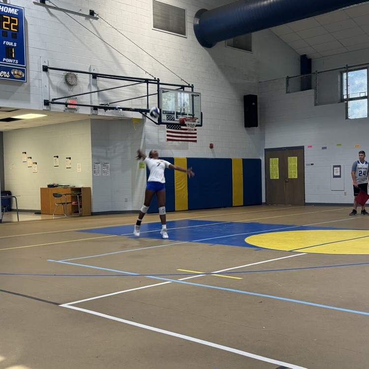 volleyball 
