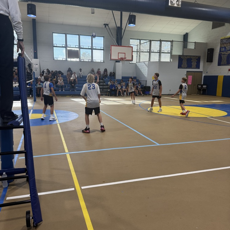 volleyball 