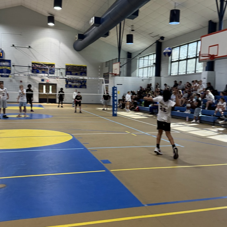 volleyball