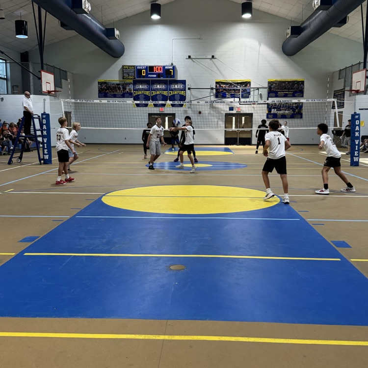 volleyball