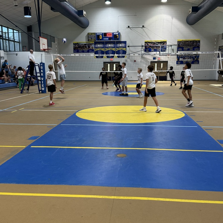 volleyball