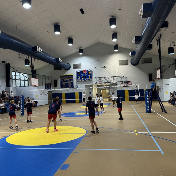 volleyball