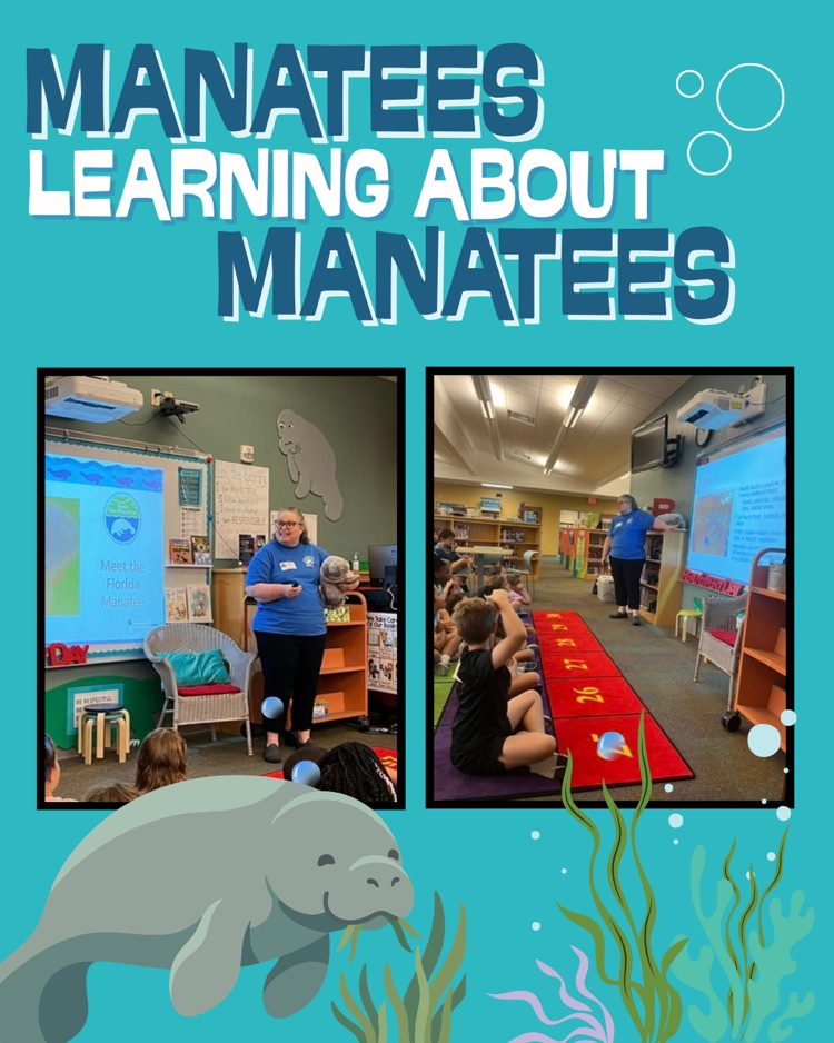 manatee