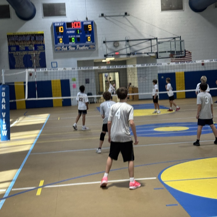 Volleyball