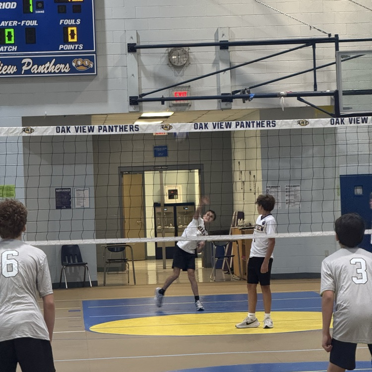Volleyball