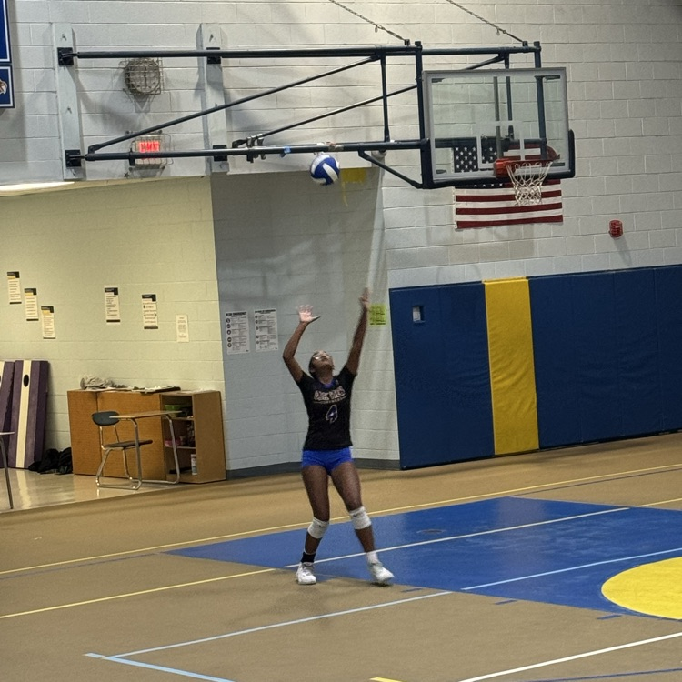 Volleyball