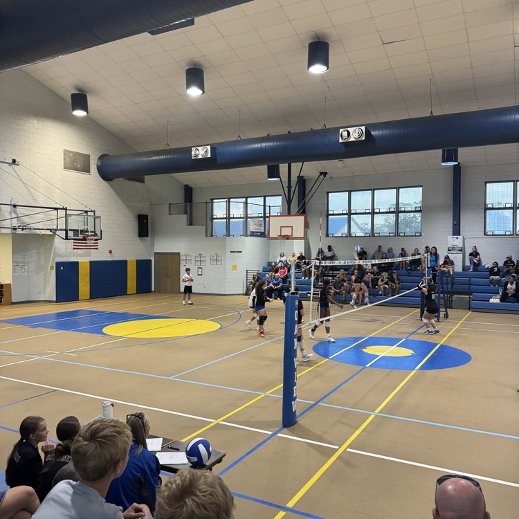 Volleyball