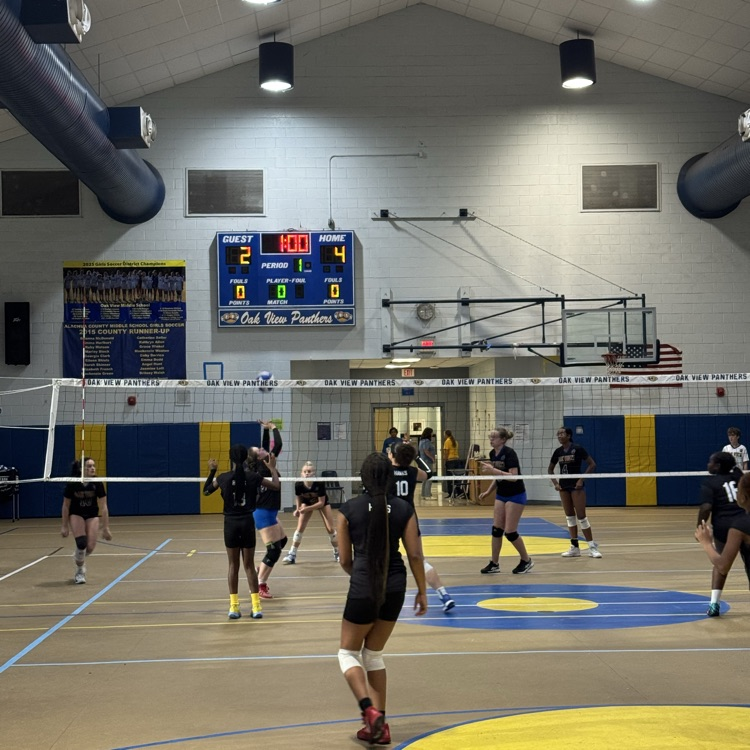 Volleyball