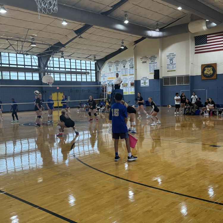 volleyball