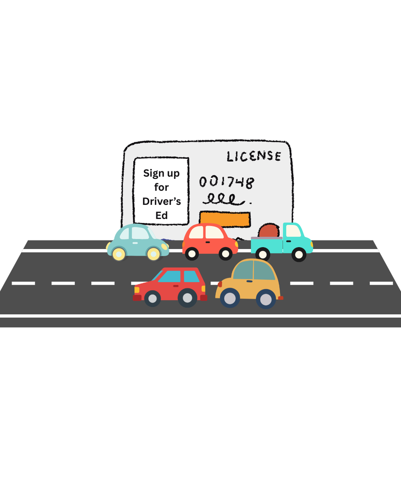 Driver's Ed