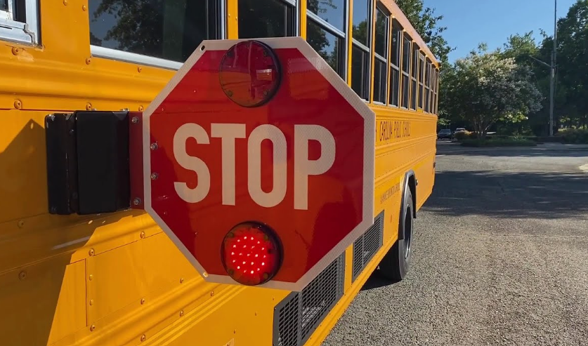 Bus
